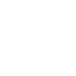 cropped-logo_danilo_icon2.png